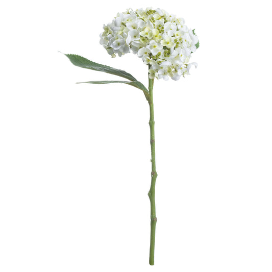 Skandi London White Lace Cap Hydrangea - Skandi London