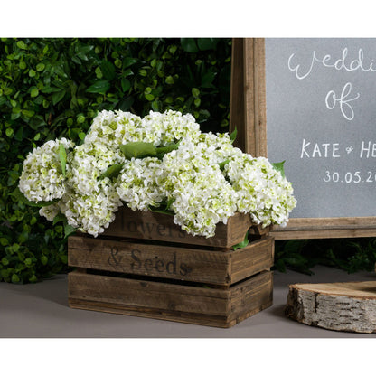 Skandi London White Lace Cap Hydrangea - Skandi London