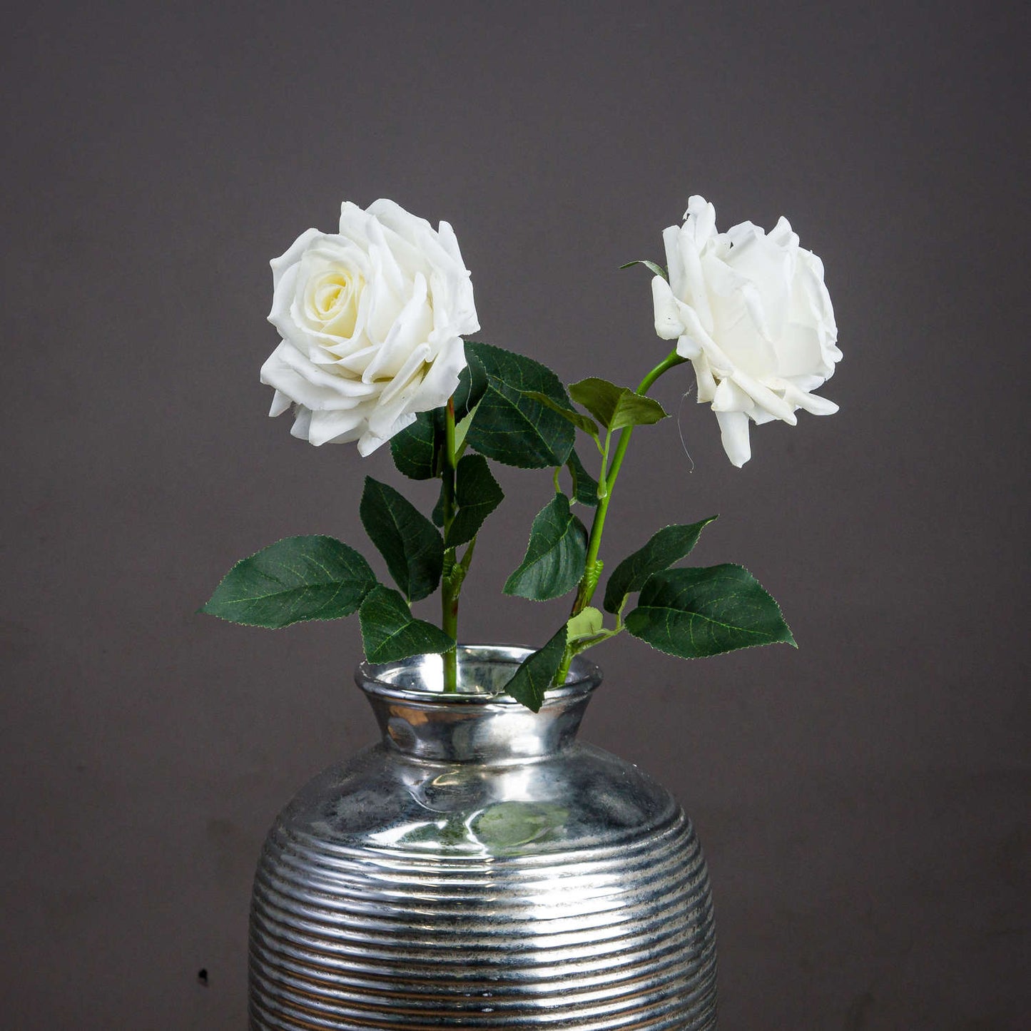 Skandi London Large White Garden Rose - Skandi London
