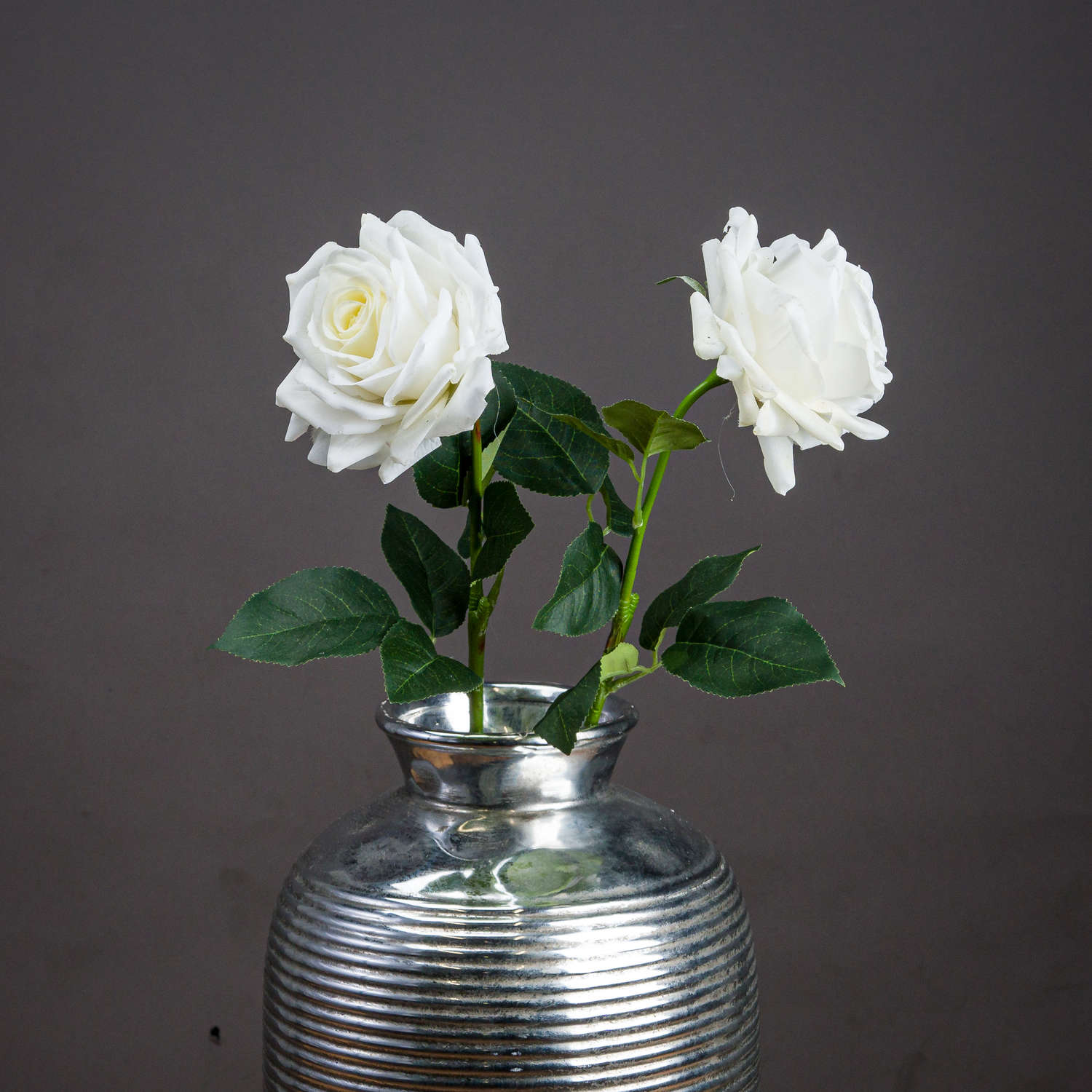 Skandi London Large White Garden Rose - Skandi London