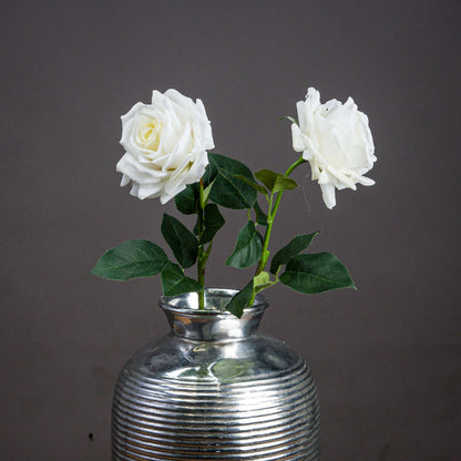 Skandi London Large White Garden Rose - Skandi London