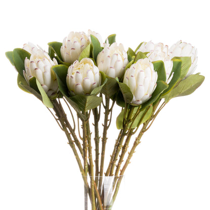 Skandi London Closed White Protea - Skandi London