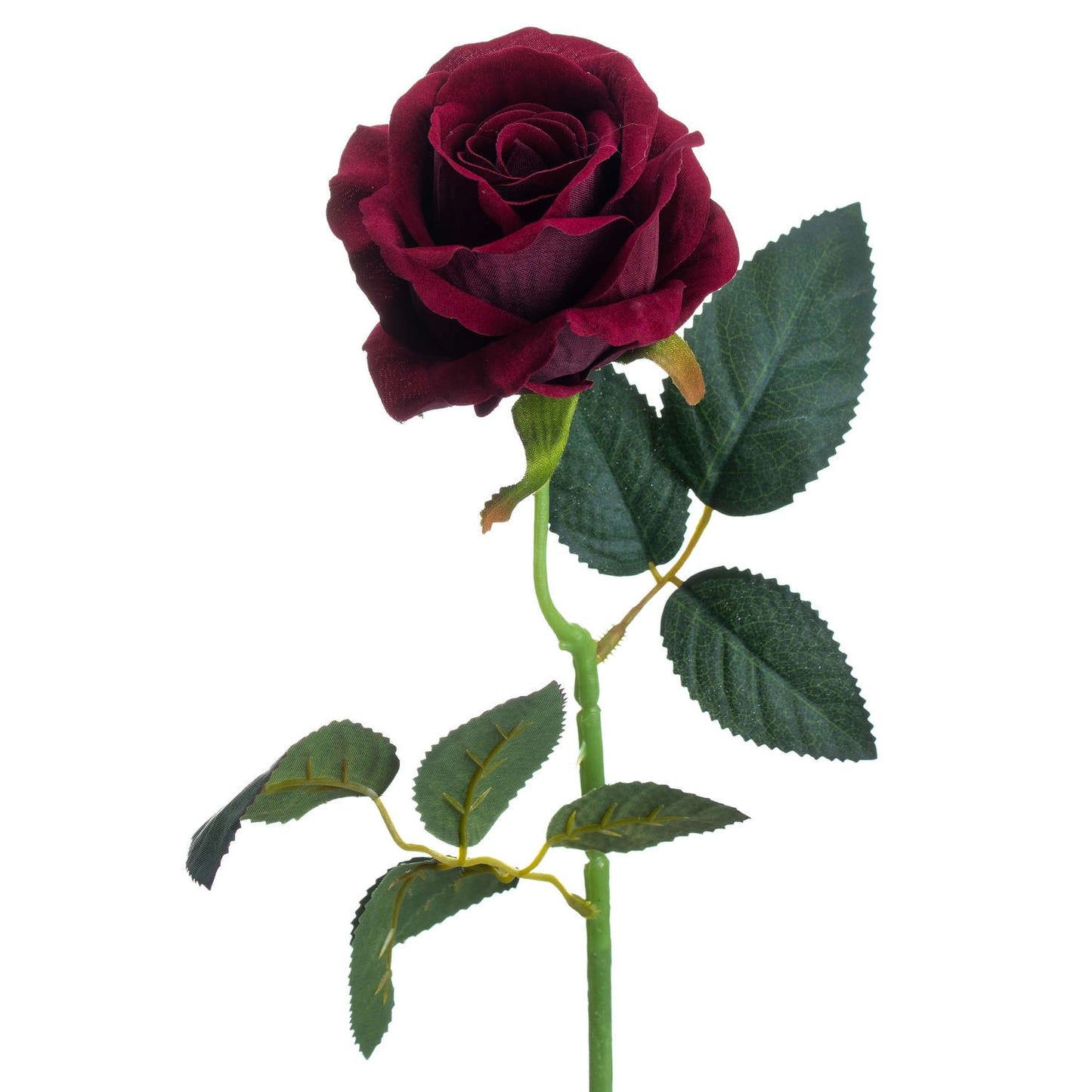 Skandi London Deep Red Rose - Skandi London