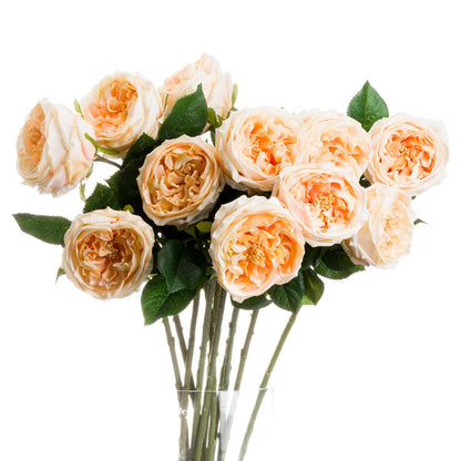 Skandi London Butter Portland Rose - Skandi London