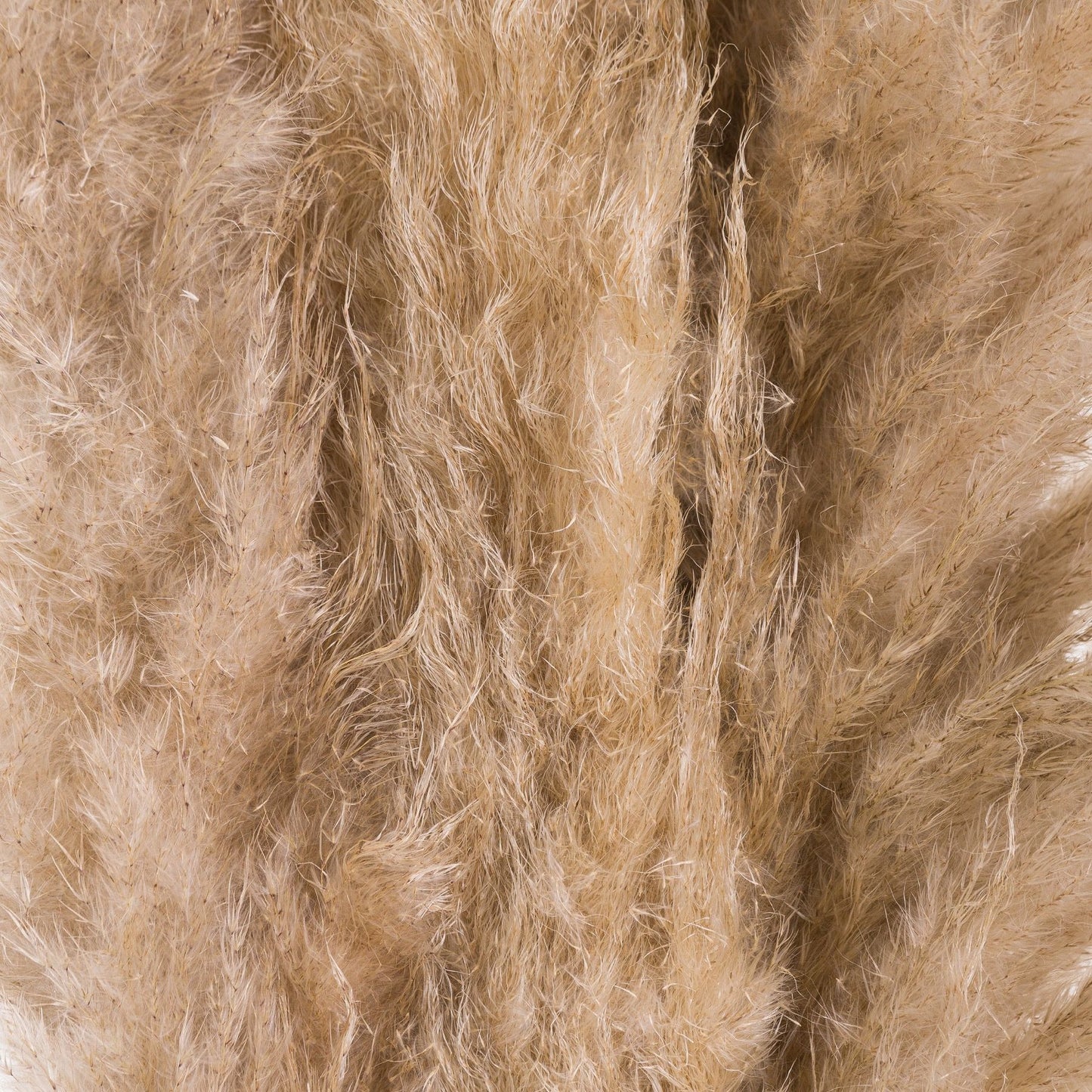 Skandi London Butter Pampas Grass - Skandi London