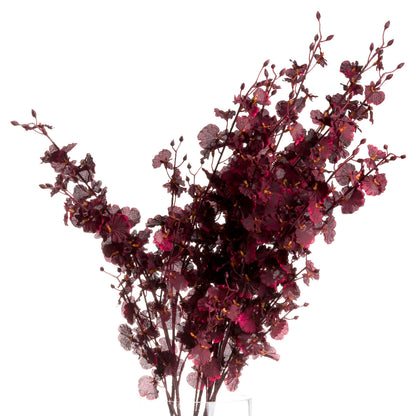 Skandi London Deep Burgundy Orchid Spray - Skandi London