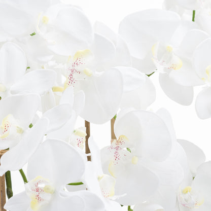 Skandi London Large White Tall Orchid In Glass Pot - Skandi London