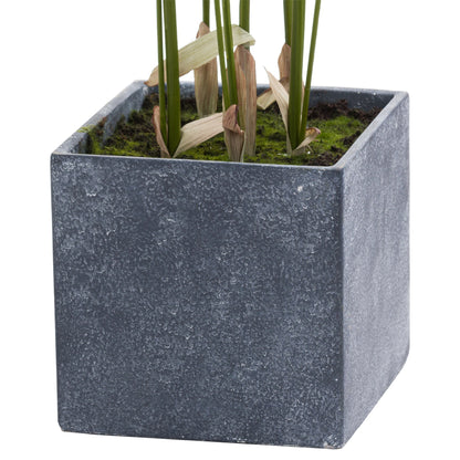 Skandi London Large Paradise Potted Palm - Skandi London