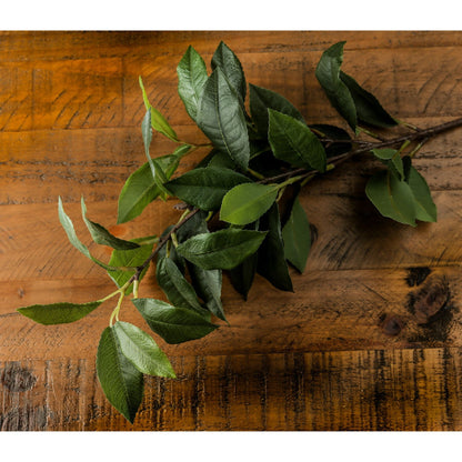 Skandi London Laurel Leaf Spray