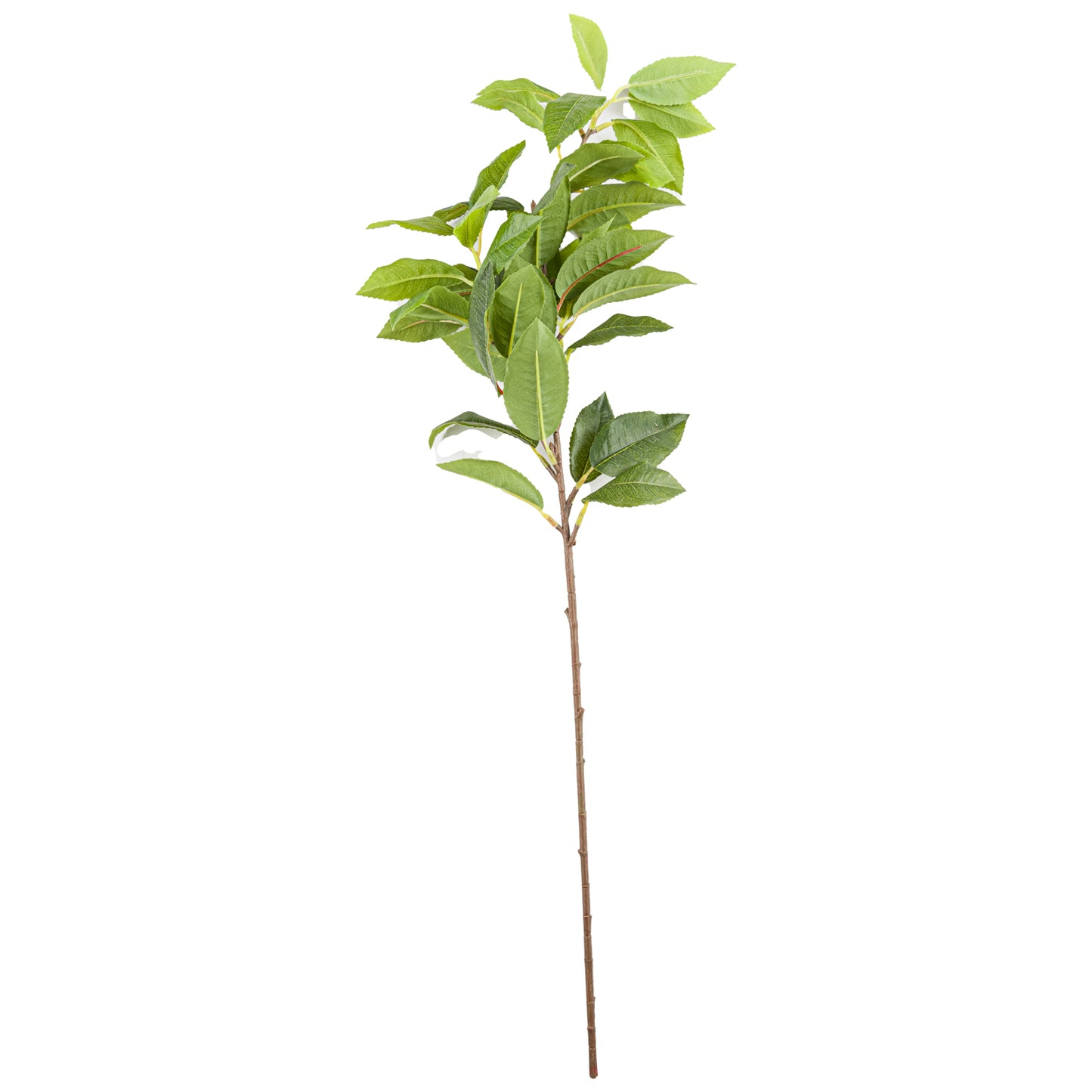 Skandi London Laurel Leaf Spray