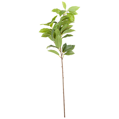 Skandi London Laurel Leaf Spray