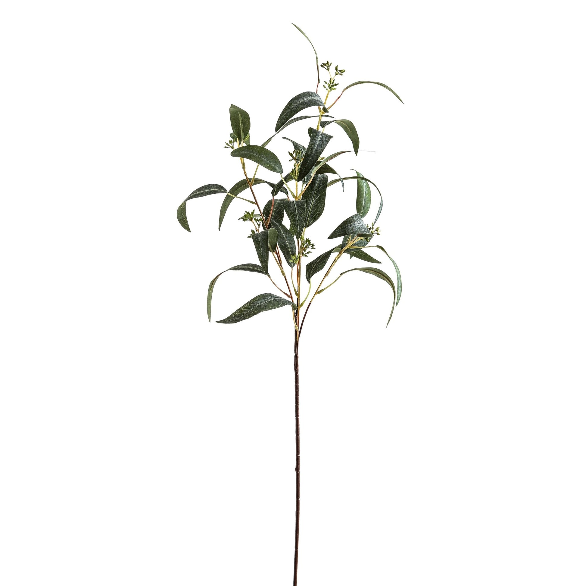 Skandi London Seeded Eucalyptus Spray - Skandi London