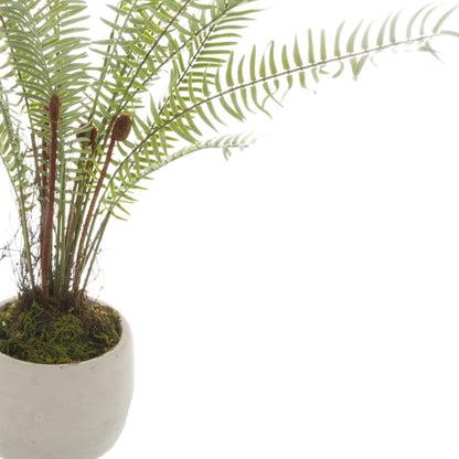 Skandi London White Potted Boston Fern