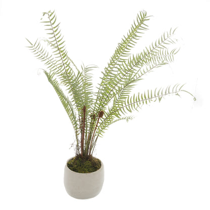 Skandi London White Potted Boston Fern