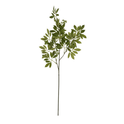 Skandi London Long Fennel Stem