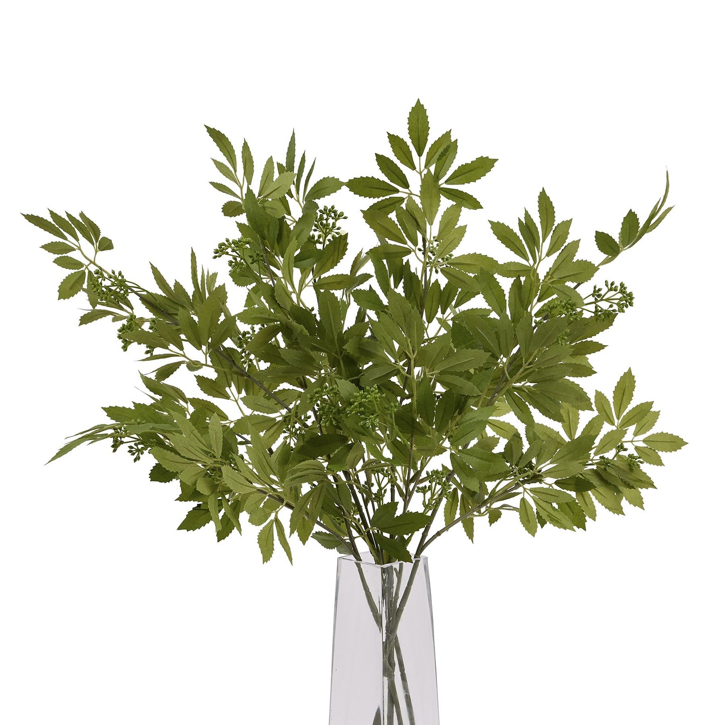 Skandi London Long Fennel Stem