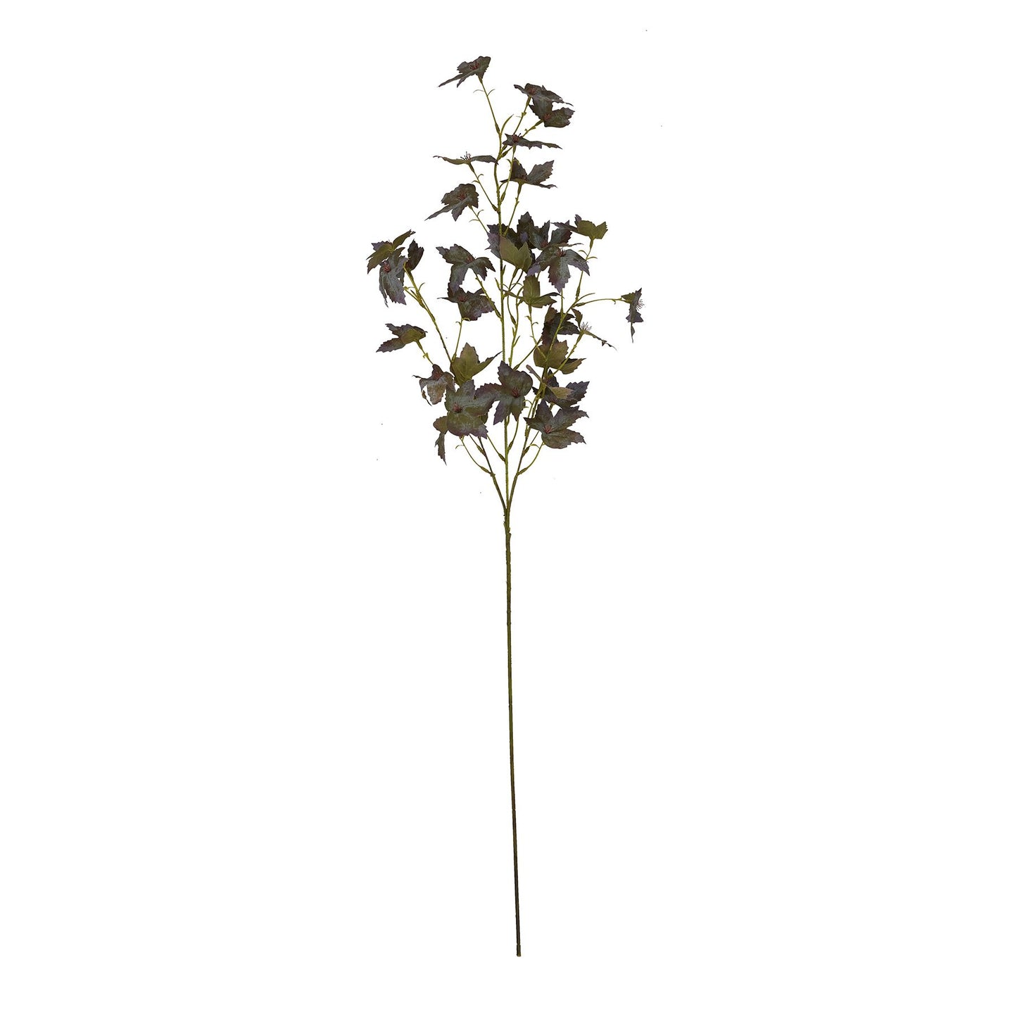 Skandi London Variegated Maple Leaf - Skandi London