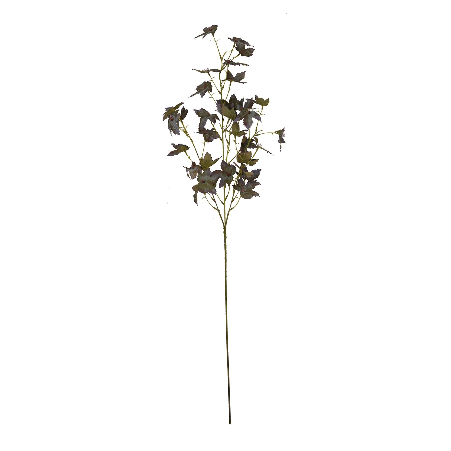 Skandi London Variegated Maple Leaf - Skandi London