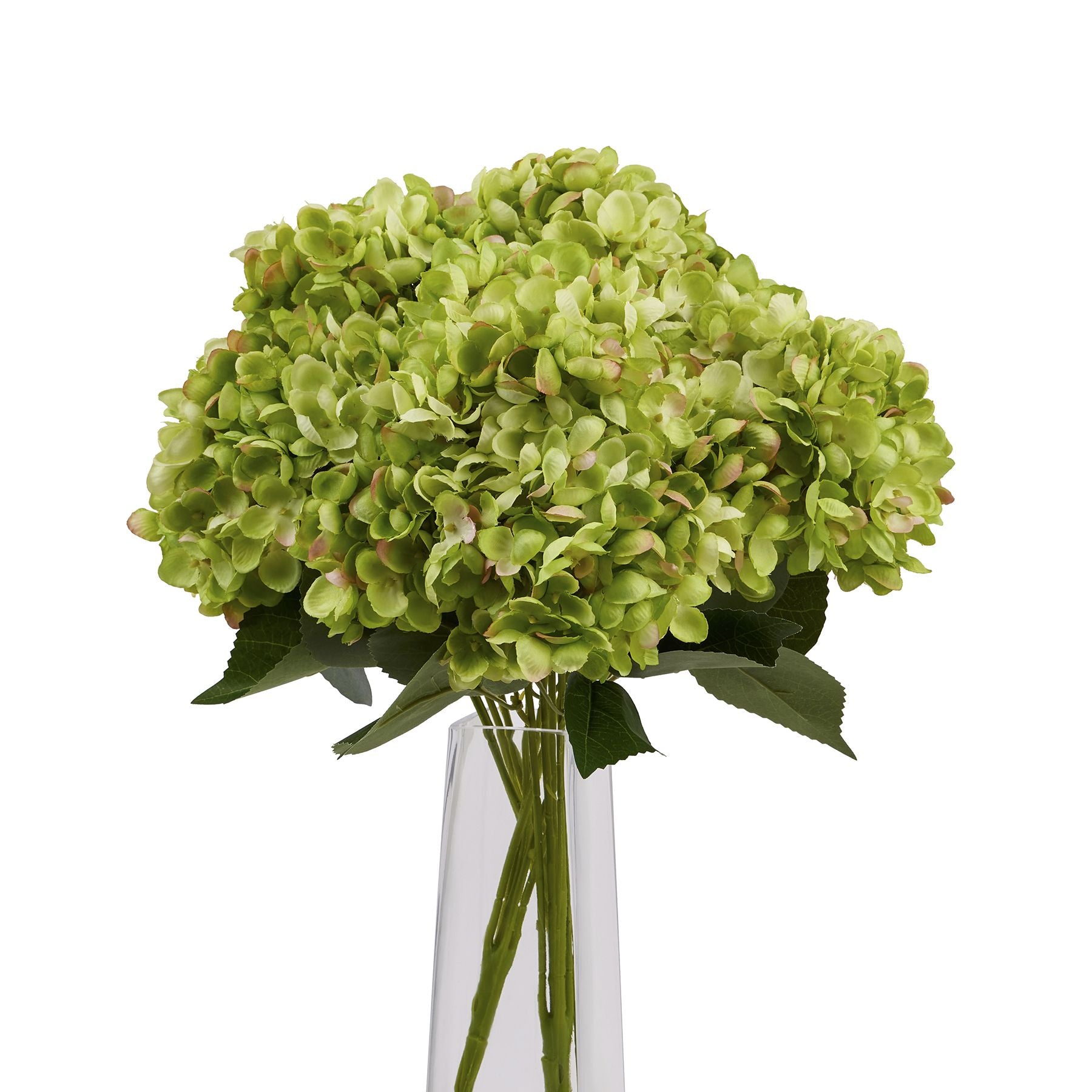 Skandi London Green Hydrangea Bunch - Skandi London
