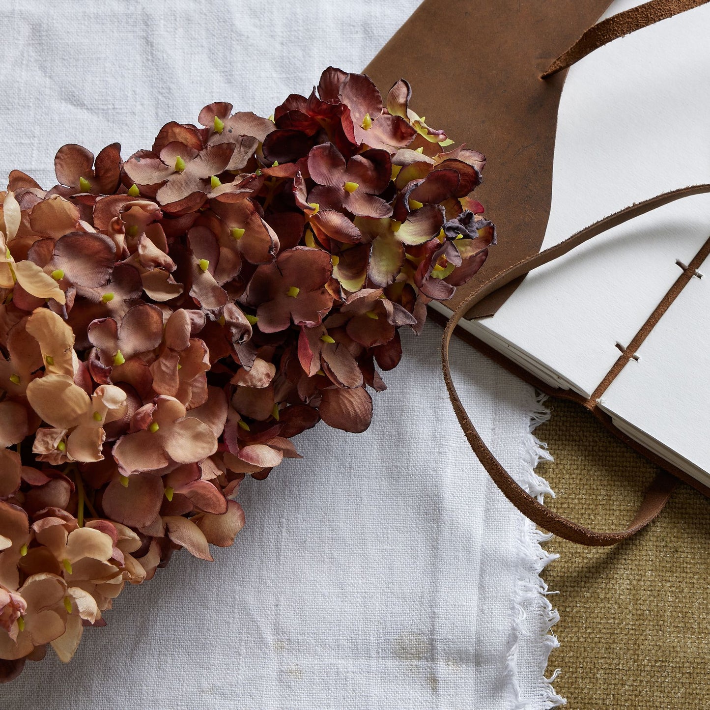 Skandi London Burgundy Spear Hydrangea