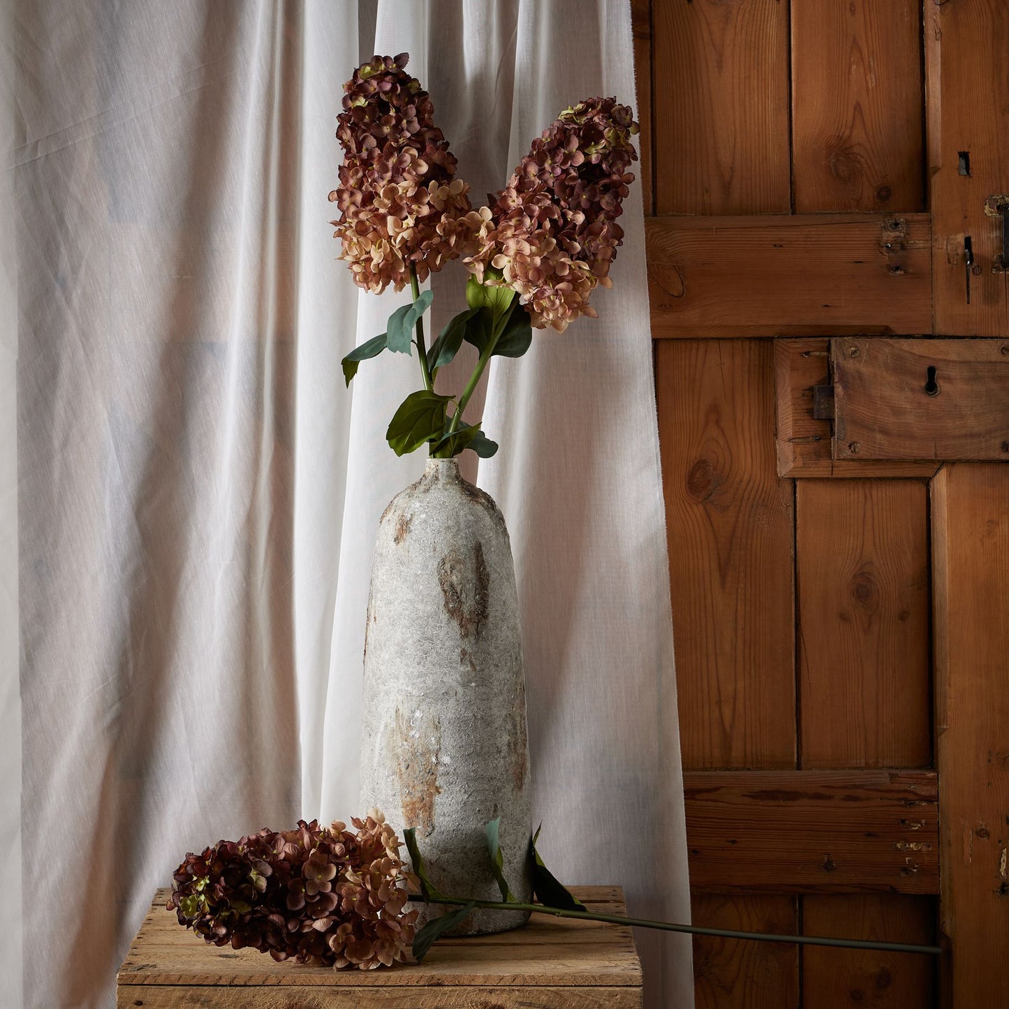 Skandi London Burgundy Spear Hydrangea