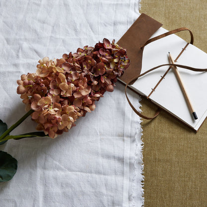 Skandi London Burgundy Spear Hydrangea