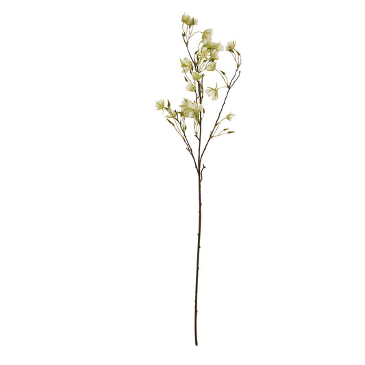 Skandi London Elaeocarpus Stem - Skandi London