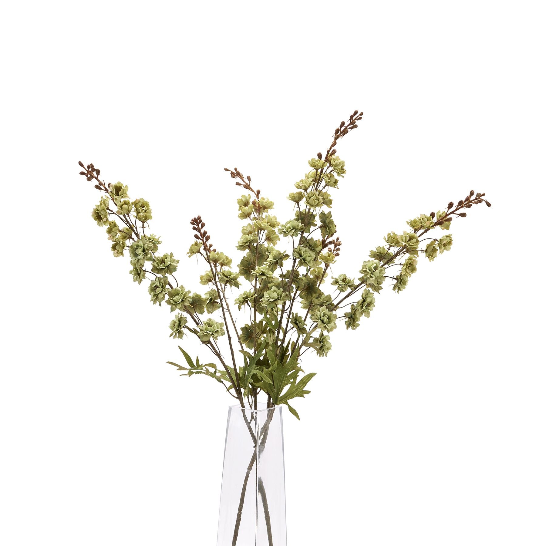 Skandi London Tall Green Hops Stem - Skandi London