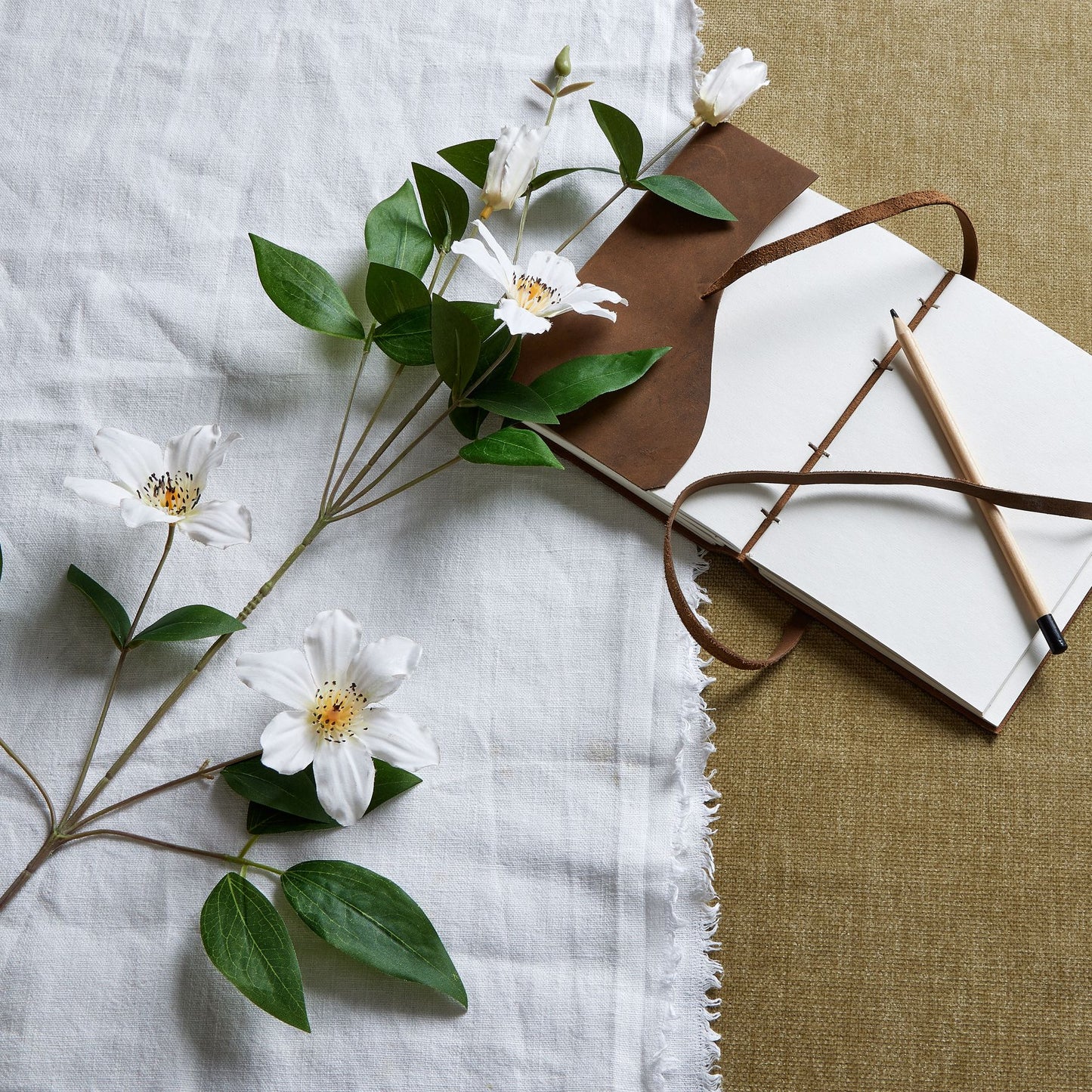Skandi London White Florida Clematis - Skandi London