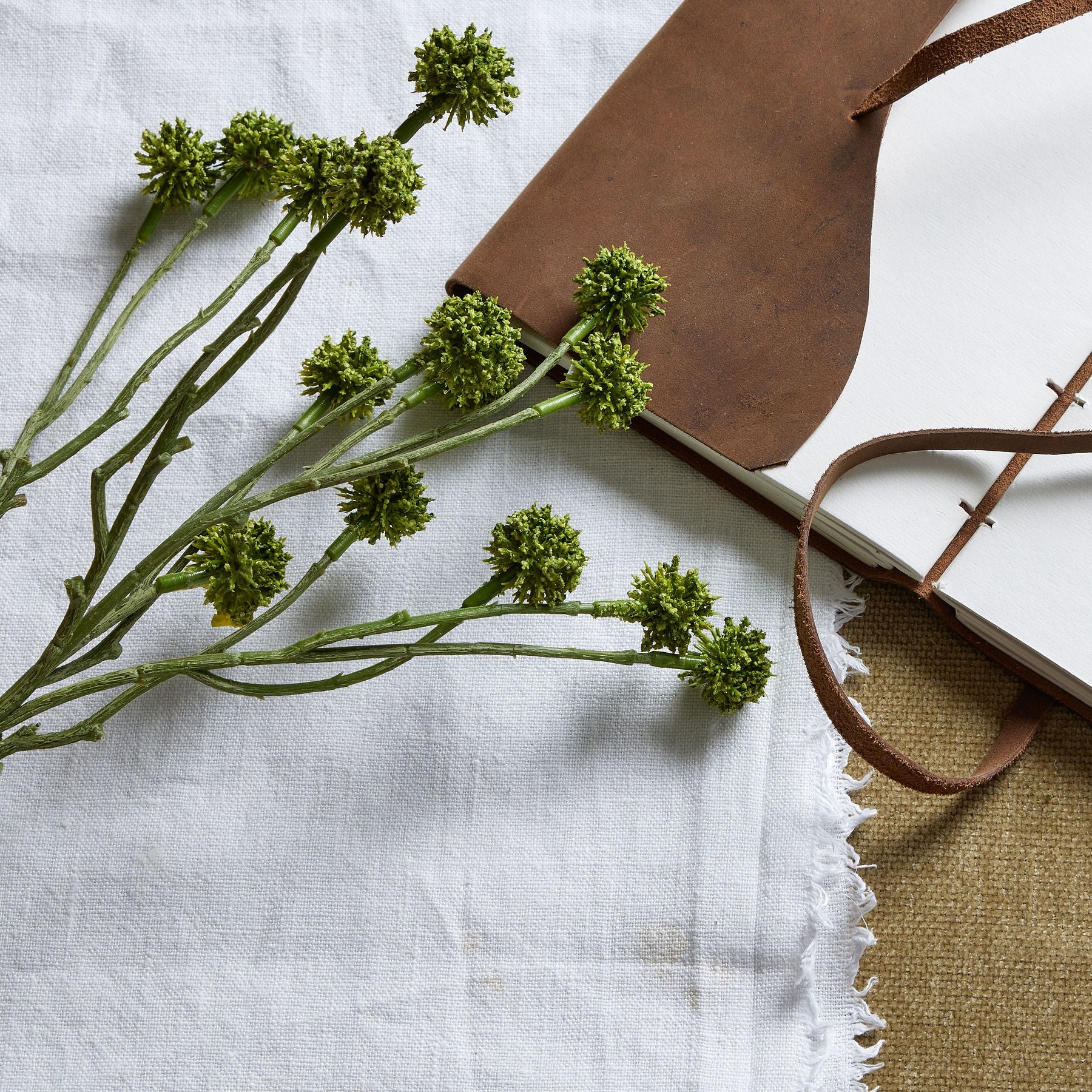 Skandi London Green Craspedia Stem - Skandi London