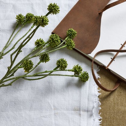 Skandi London Green Craspedia Stem - Skandi London