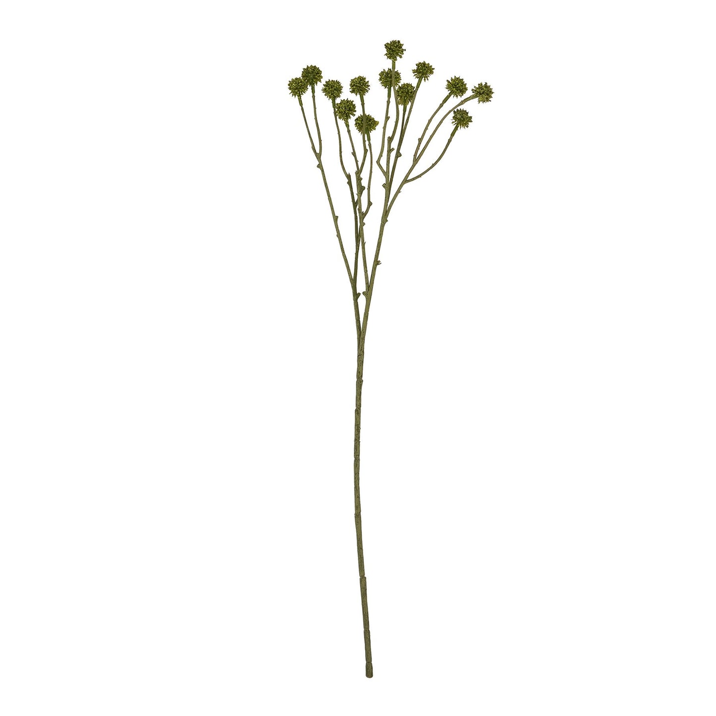 Skandi London Green Craspedia Stem - Skandi London