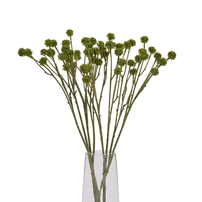 Skandi London Green Craspedia Stem - Skandi London