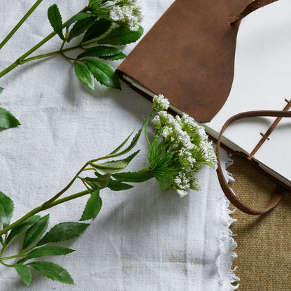 Skandi London Faux White Cow Parsley Ammi - Skandi London