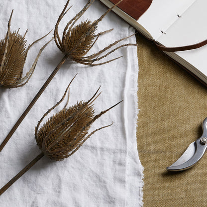 Skandi London Large Brown Triple Teasle Stem - Skandi London