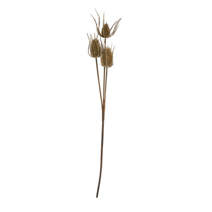 Skandi London Large Brown Triple Teasle Stem - Skandi London