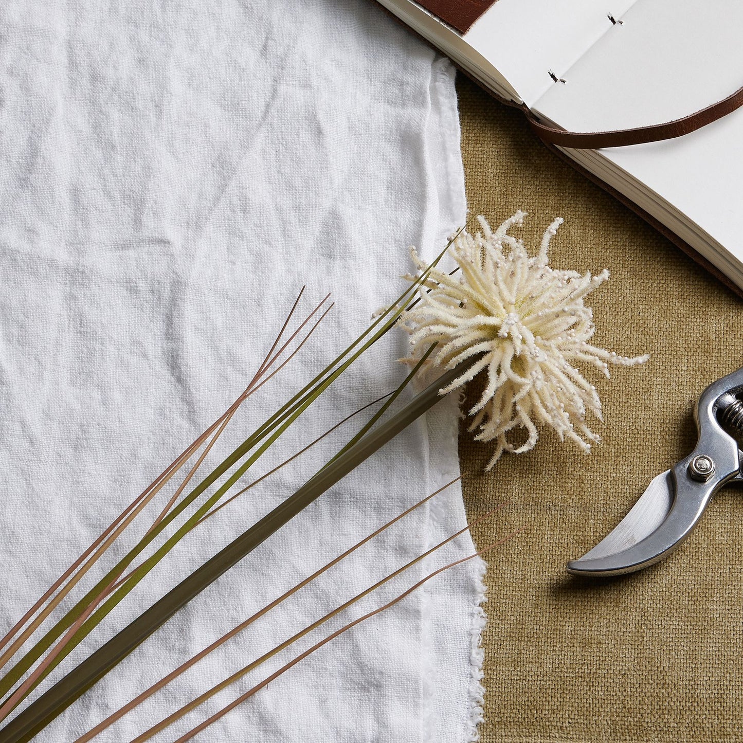 Skandi London Cream Aster Spider Chrysanthemum Stem - Skandi London