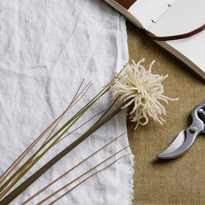 Skandi London Cream Aster Spider Chrysanthemum Stem - Skandi London