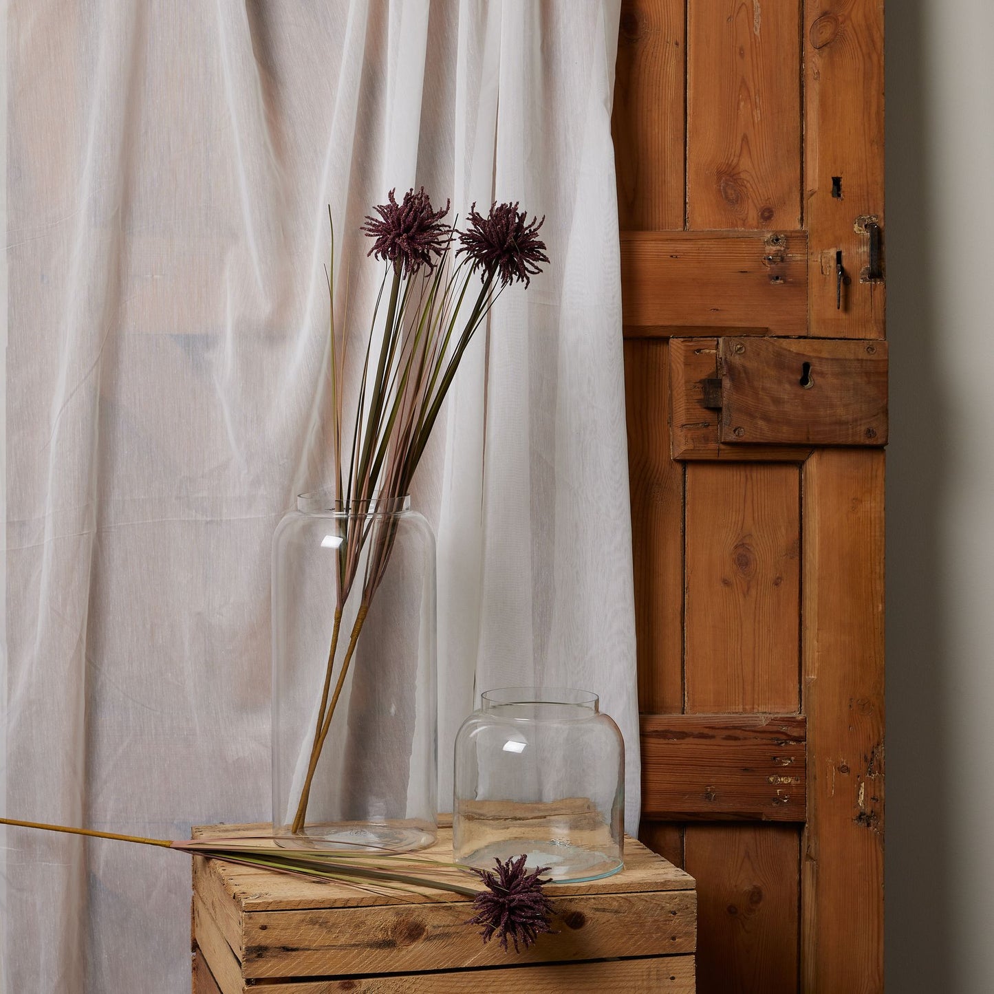 Skandi London Burgundy Aster Spider Chrysanthemum Stem - Skandi London