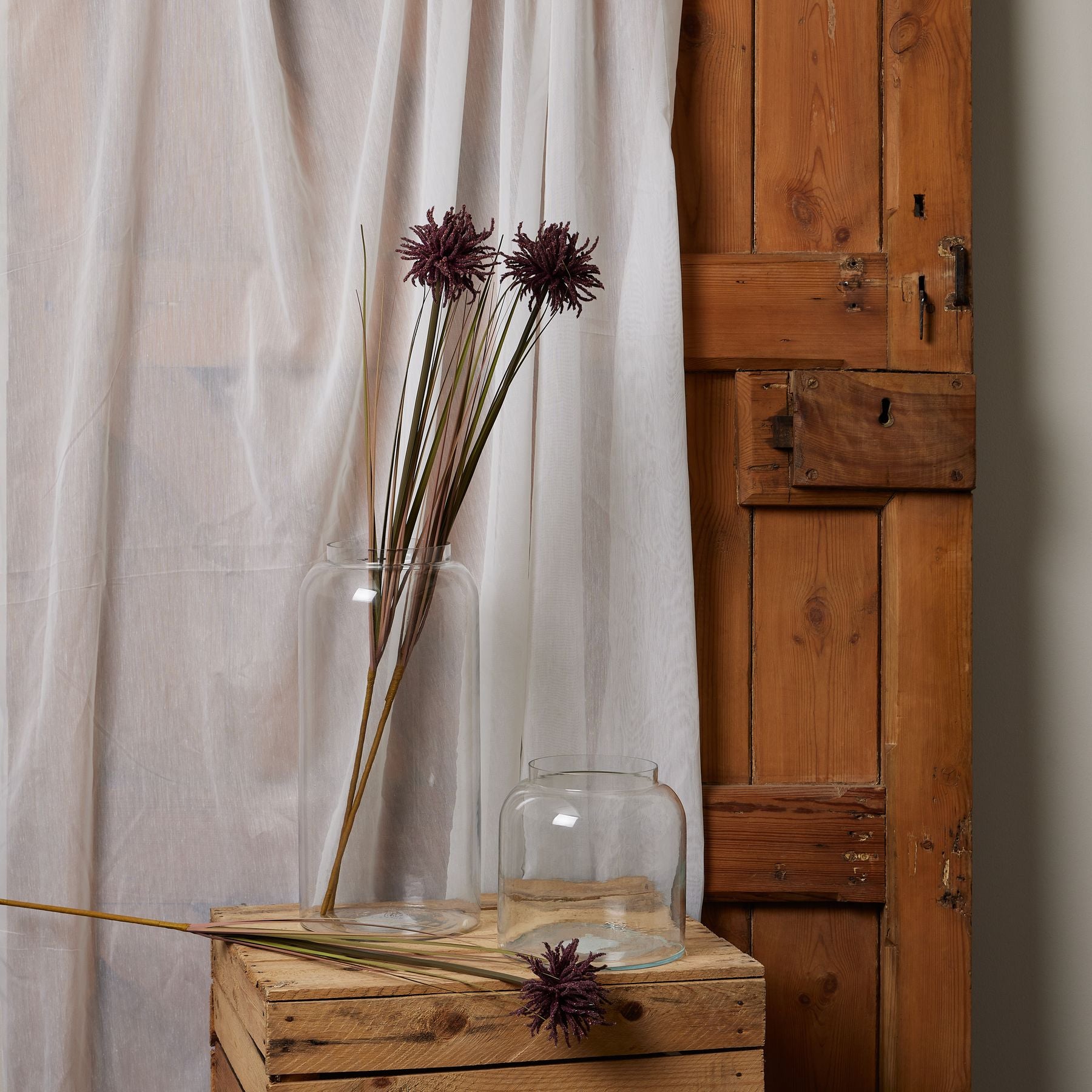 Skandi London Burgundy Aster Spider Chrysanthemum Stem - Skandi London