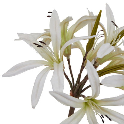 Lund Natural Garden Collection White Nerine Lily Stem - Skandi London
