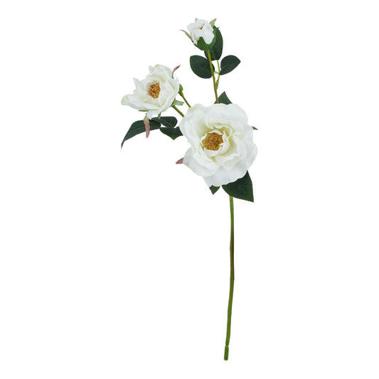 Lund Natural Garden Collection White Tea Rose - Skandi London