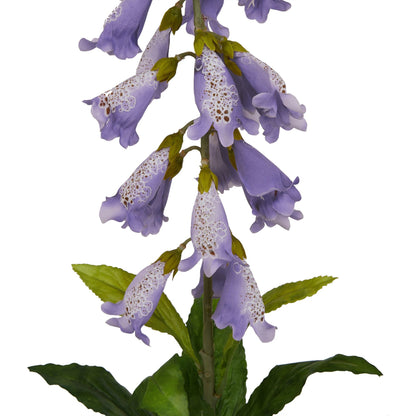 Lund Natural Garden Collection Mauve Foxglove