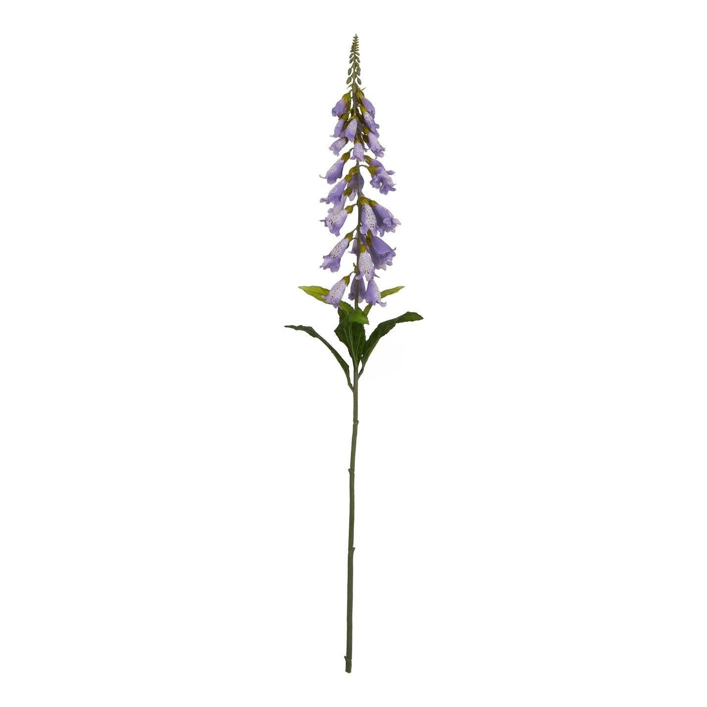 Lund Natural Garden Collection Mauve Foxglove