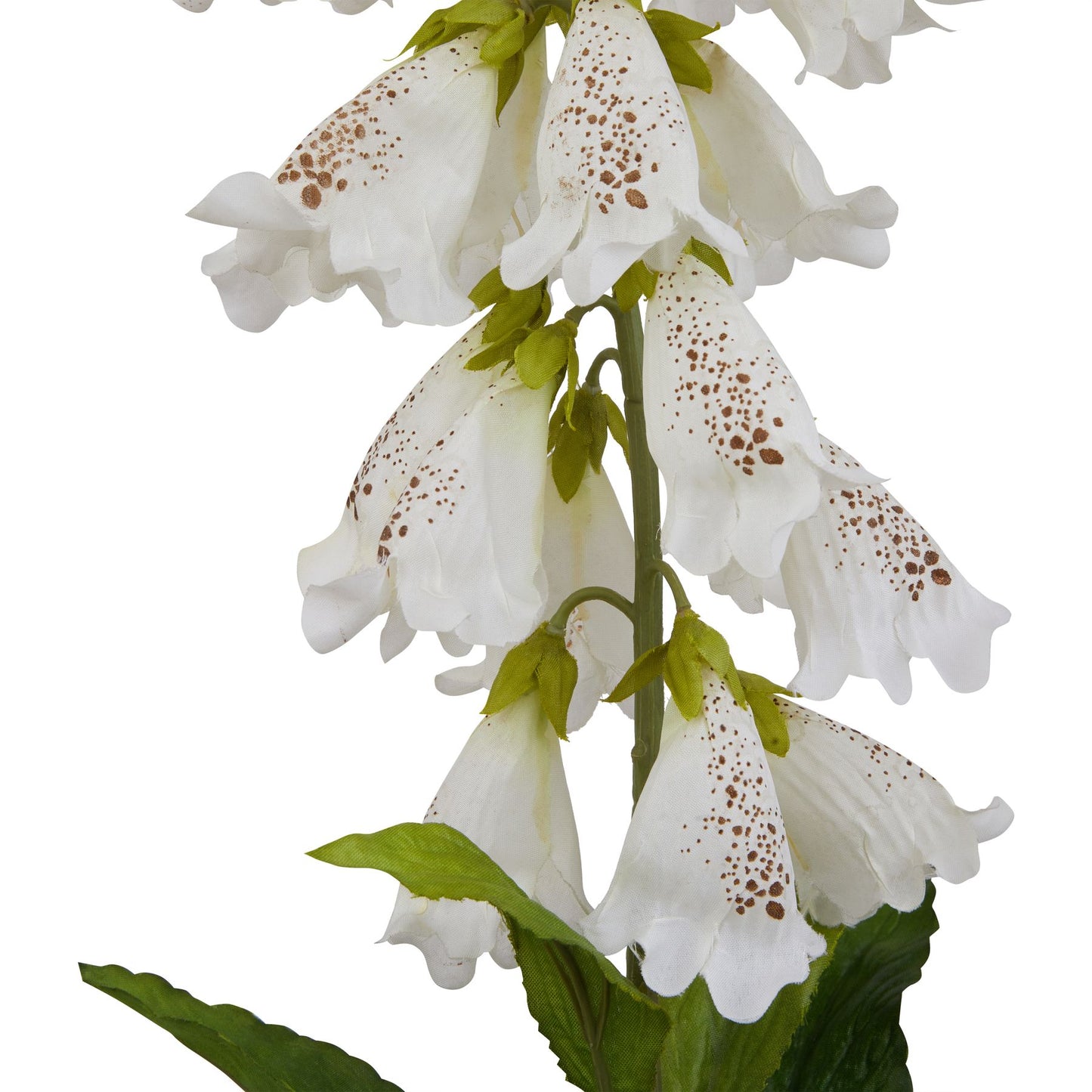 Lund Natural Garden Collection White Foxglove