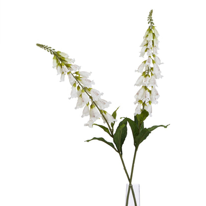 Lund Natural Garden Collection White Foxglove