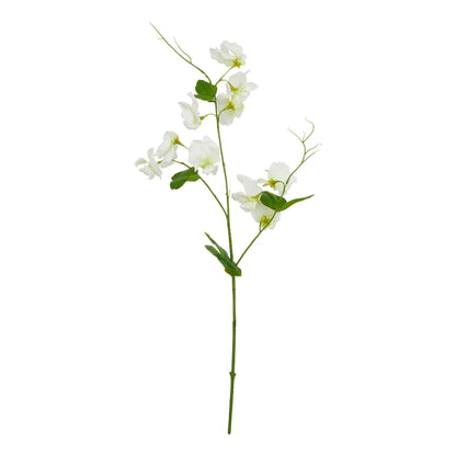 Lund Natural Garden Collection White Sweetpea Stem - Skandi London