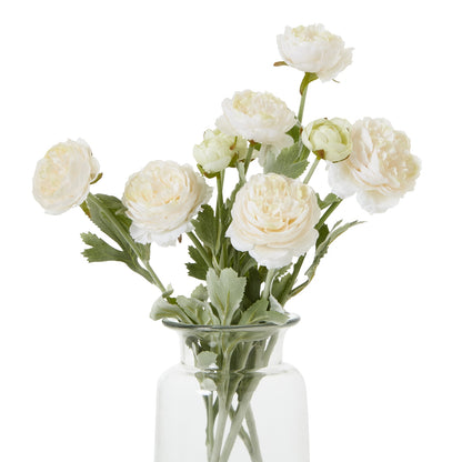The Natural Garden Collection Apricot Ranunculus - Skandi London