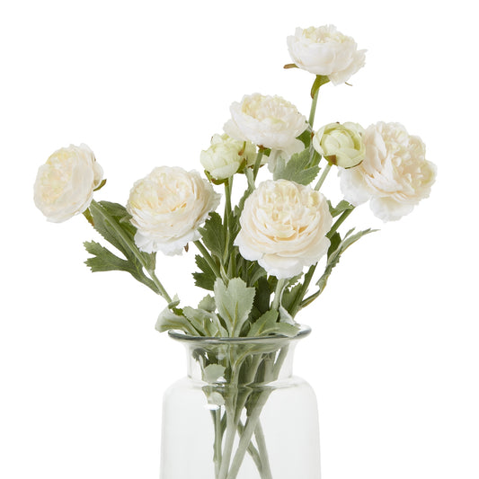 The Natural Garden Collection Apricot Ranunculus - Skandi London