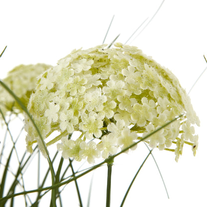 White Allium Plant In Pot - Skandi London